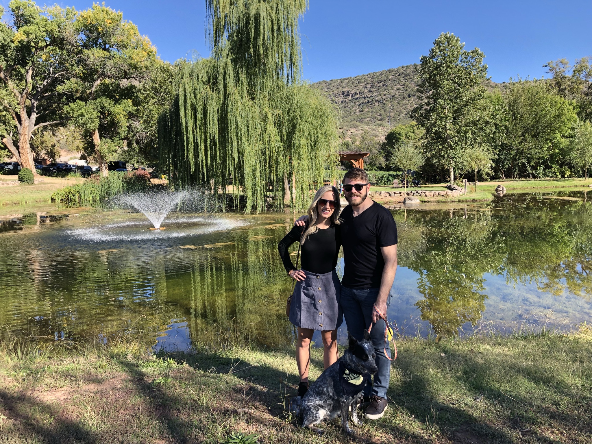 Alcantara Vineyards